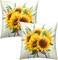 Set of 2 sunflower-themed throw pillow covers, 18×18 inches each, featuring nature-inspired summer floral designs—perfect for decorating couches, sofas, benches, living rooms, and bedrooms.